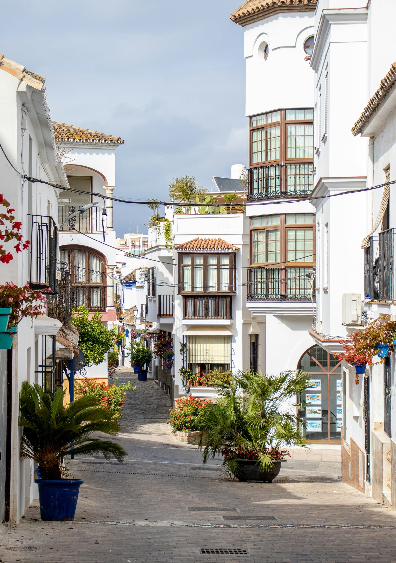 Calle del casco antiguo de Estepona, con fachadas blancas y macetas